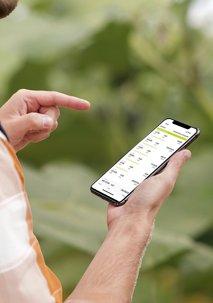 digitalisation-berdea