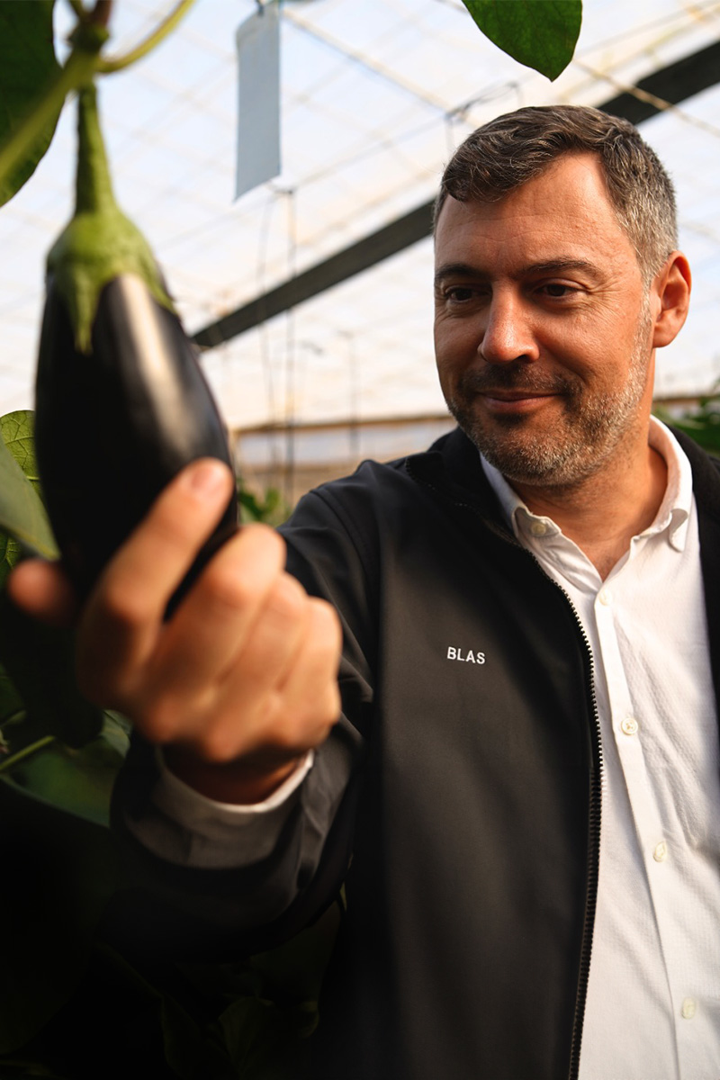 courgette-grower-berdea