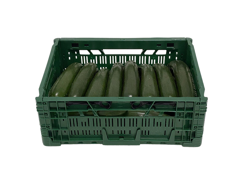 Courgette ifco