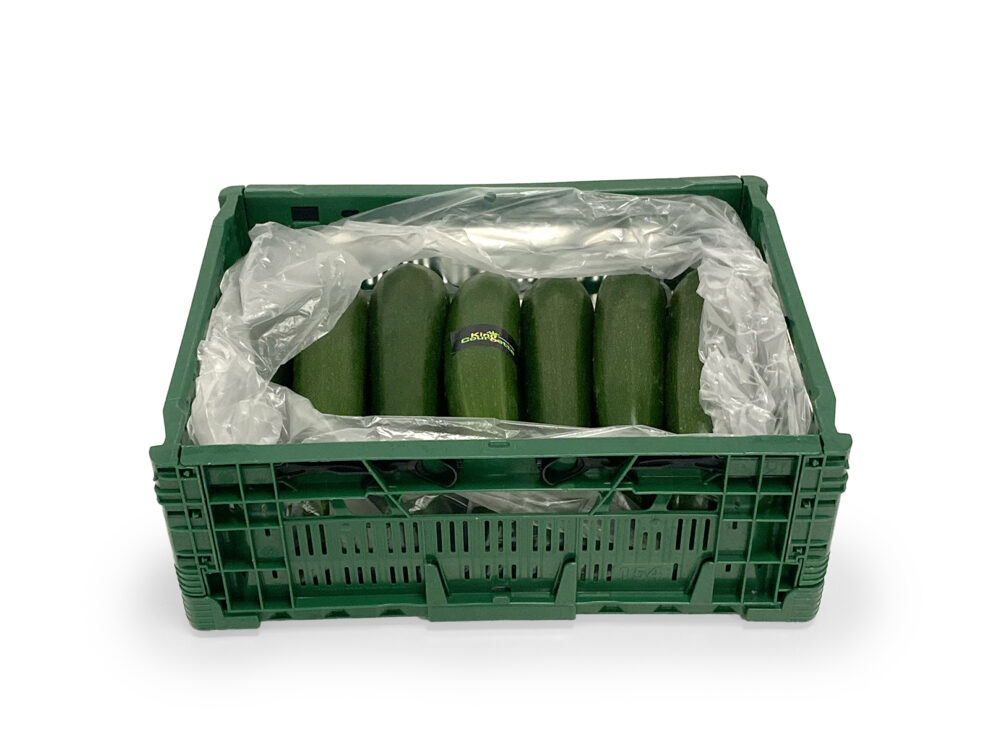 Courgette ifco