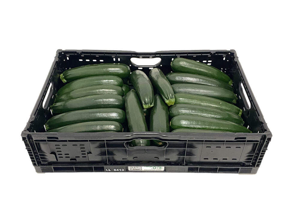 Courgette IFCO