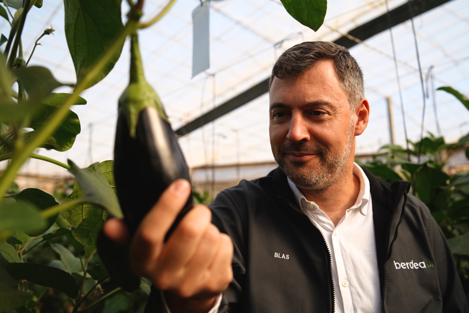 Asesoramiento-tecnico-berdea