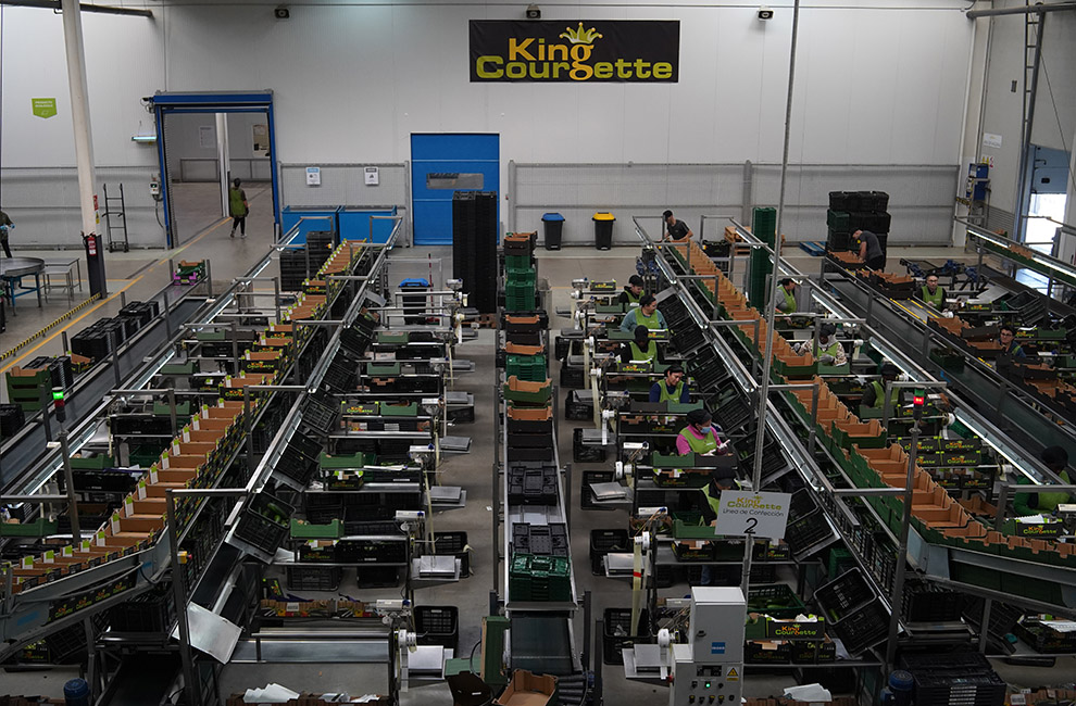 instalaciones-berdea